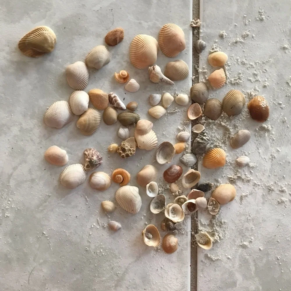 Custom shell bundle — PLEASE READ - Picture 8 of 16